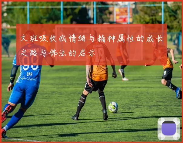 文班吸收我情绪与精神属性的成长之路与佛法的启示
