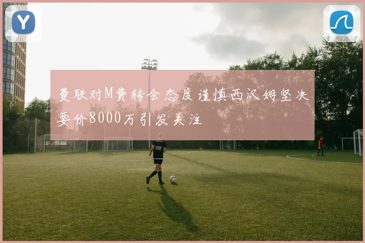 曼联对M费转会态度谨慎西汉姆坚决要价8000万引发关注