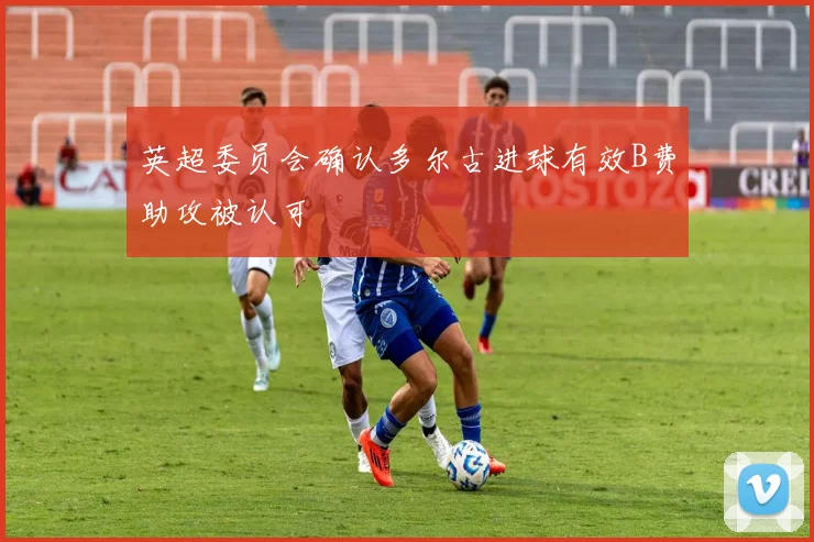 英超委员会确认多尔古进球有效B费助攻被认可